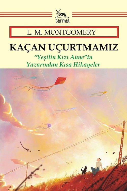 Kaçan Uçurtmamız
