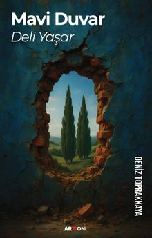 Mavi Duvar Deli Yaşar