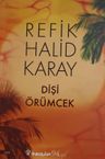 Dişi Örümcek