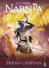 Narnia G&uuml;nl&uuml;kleri 4 / Prens Caspian