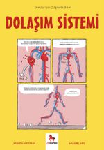 Dolaşım Sistemi / Gençler İçin Çizgilerle Bilim
