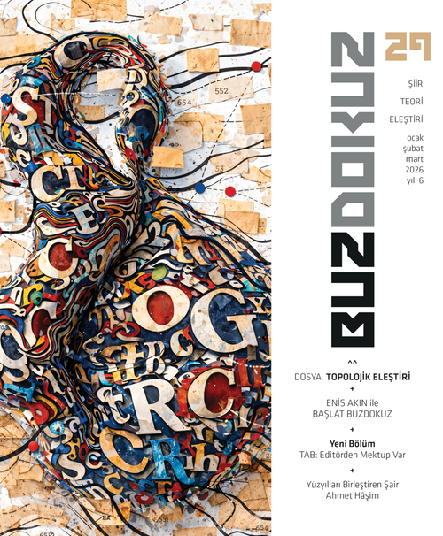 Buzdokuz Şiir Teori Eleştiri Dergisi 29