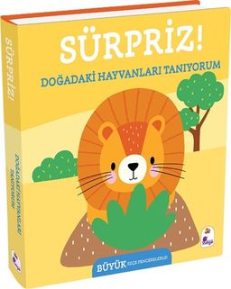 Sürpriz! / Doğadaki  Hayvanları Tanıyorum
