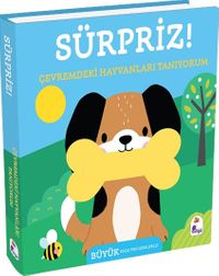 Sürpriz! / Çevremdeki Hayvanları Tanıyorum