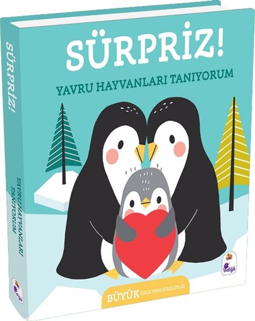 Sürpriz! / Yavru Hayvanları Tanıyorum
