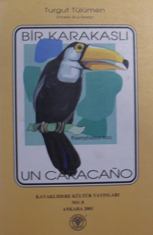 Bir Karakaslı / 10-B-16