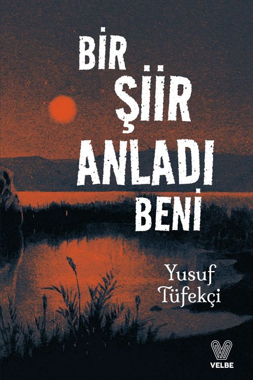 Bir Şiir Anladı Beni