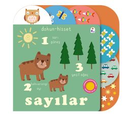 Dokun - Hisset / Sayılar