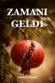 Zamanı Geldi