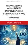 Kurumsal Başarının Anahtarı 2 / Psikolojik Sermaye, &Ccedil;alışan Esenliği, &Ouml;rg&uuml;tsel Dayanıklılık, İş Yaşamında Anlam ve Ama&ccedil;