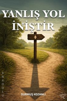 Yanlış Yol İniştir