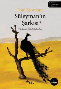 Süleyman'ın Şarkısı