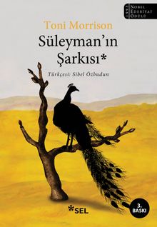 Süleyman'ın Şarkısı