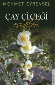 Çay Çiçeği Esintileri