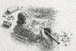 Feride Gürbüz