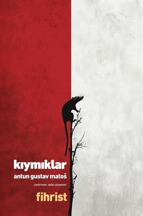 Kıymıklar