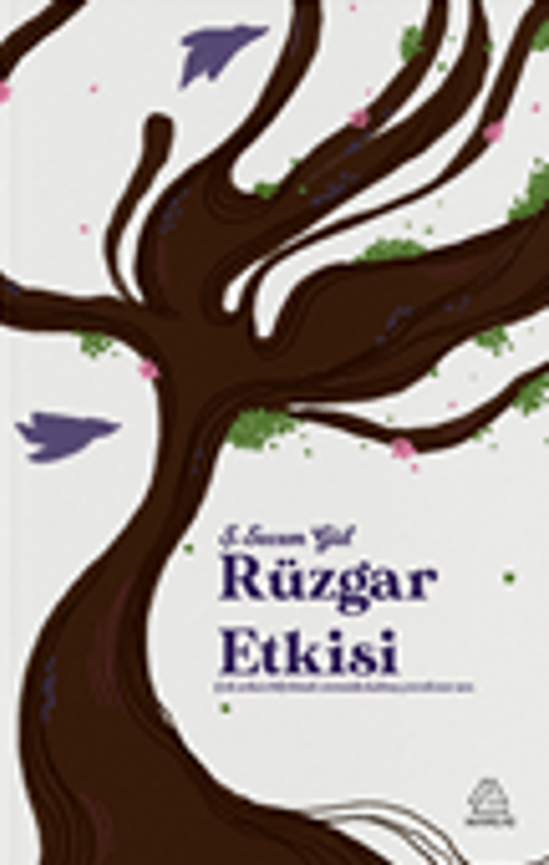Rüzgar Etkisi