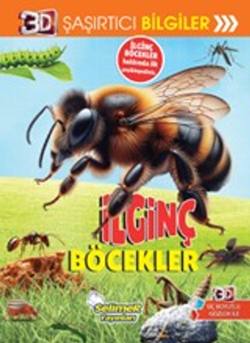 3D Şaşırtıcı Bilgiler / İlginç Böcekler