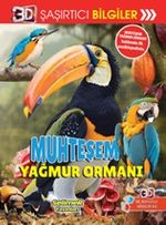 3D Şaşırtıcı Bilgiler / Muhteşem Yağmur Ormanı