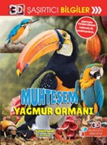 3D Şaşırtıcı Bilgiler / Muhteşem Yağmur Ormanı