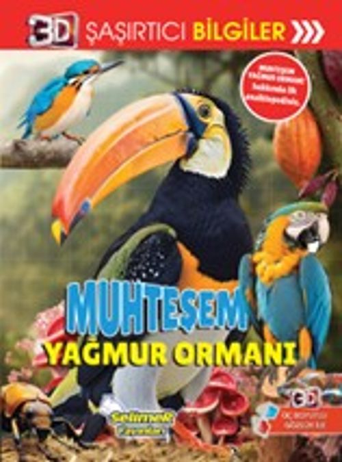 3D Şaşırtıcı Bilgiler / Muhteşem Yağmur Ormanı