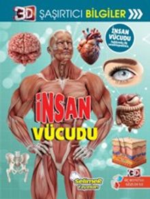 3D Şaşırtıcı Bilgiler / İnsan Vücudu