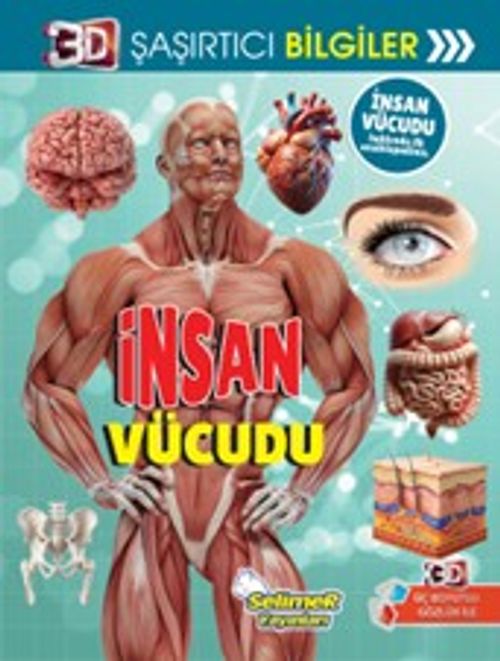 3D Şaşırtıcı Bilgiler / İnsan Vücudu