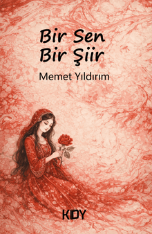 Bir Sen Bir Şiir