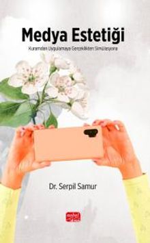 Medya Estetiği & Kuramdan Uygulamaya, Gerçeklikten Simülasyona