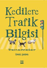 Kedilere Trafik Bilgisi & Denemeler