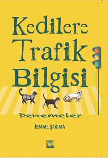 Kedilere Trafik Bilgisi & Denemeler
