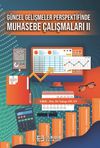 G&uuml;ncel Gelişmeler Perspektifinde Muhasebe &Ccedil;alışmaları II