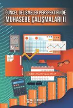 Güncel Gelişmeler Perspektifinde Muhasebe Çalışmaları II