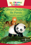 Orman Okulunda Bir Panda