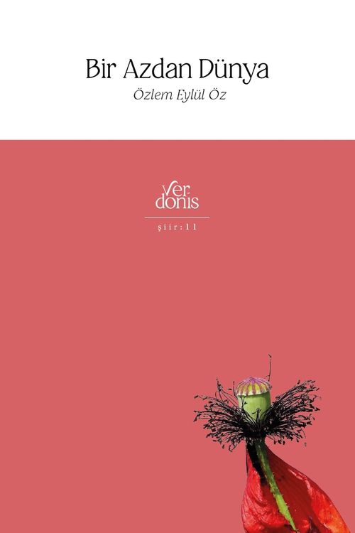 Bir Azdan Dünya