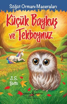 Küçük Baykuş ve Tekboynuz / Söğüt Ormanı Maceraları