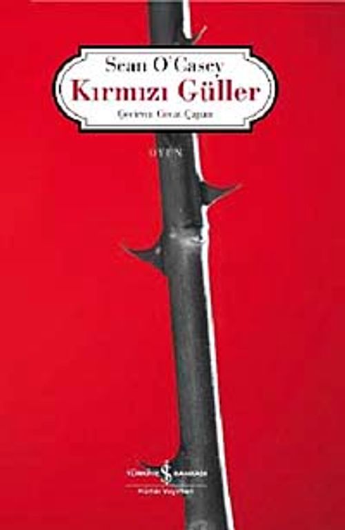 Kırmızı Güller