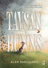 Tavşan Bunns (Ciltli)