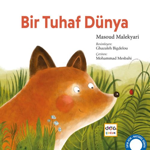 Bir Tuhaf Dünya