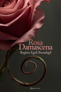 Rosa Damascena