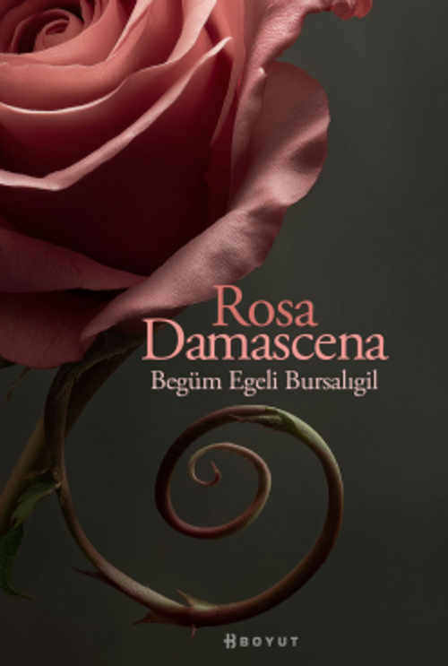 Rosa Damascena
