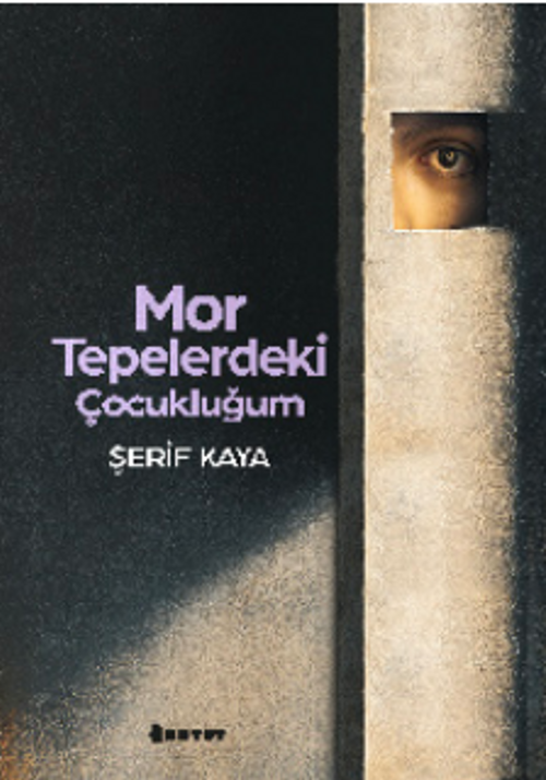 Mor Tepelerdeki Çocukluğum