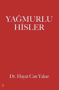 Yağmurlu Hisler