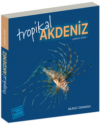 Tropikal Akdeniz & Yabancı Türler