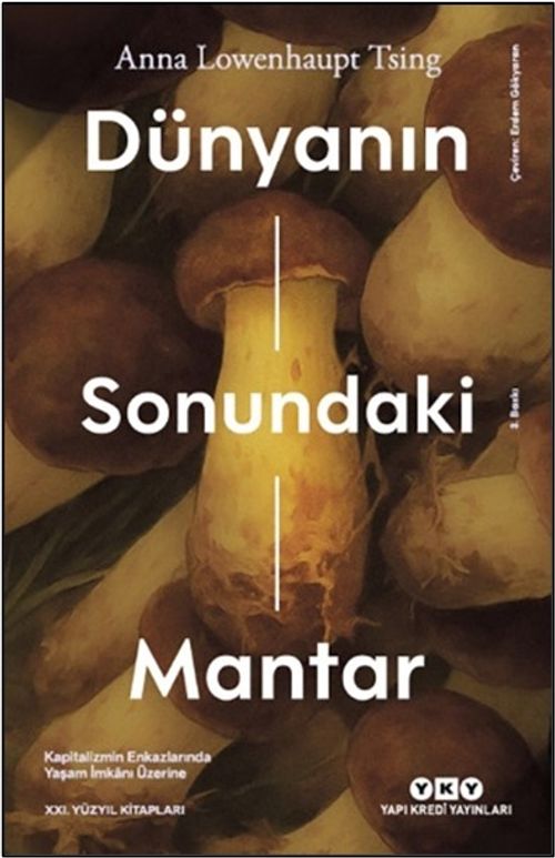Dünyanın Sonundaki Mantar & Kapitalizmin Enkazlarında Yaşam İmkanı Üzerine