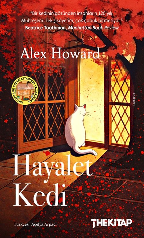Hayalet Kedi