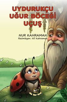 Uydurukçu Uğur Böceği Uçuş