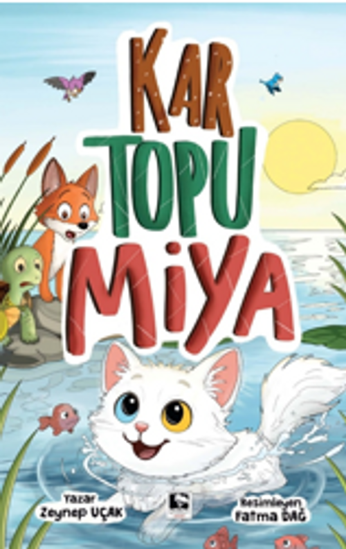 Kar Topu Miya