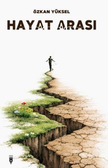 Hayat Arası