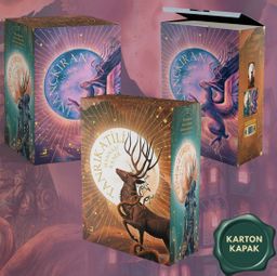 Düşmüş Tanrılar Serisi - 3 Kitaplık Kutulu Set (Karton Kapak)